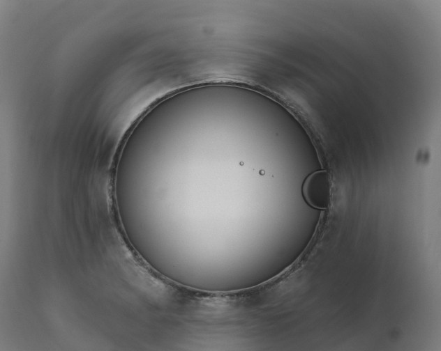 X0000112431182200908281855