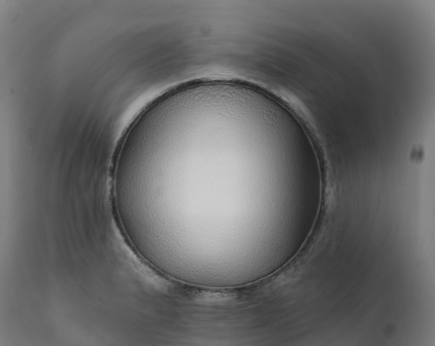 X0000112431183200908281855