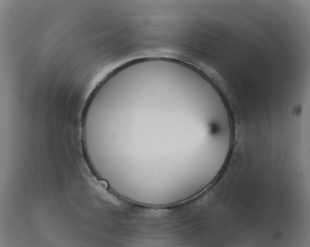 X0000112431184200908281855