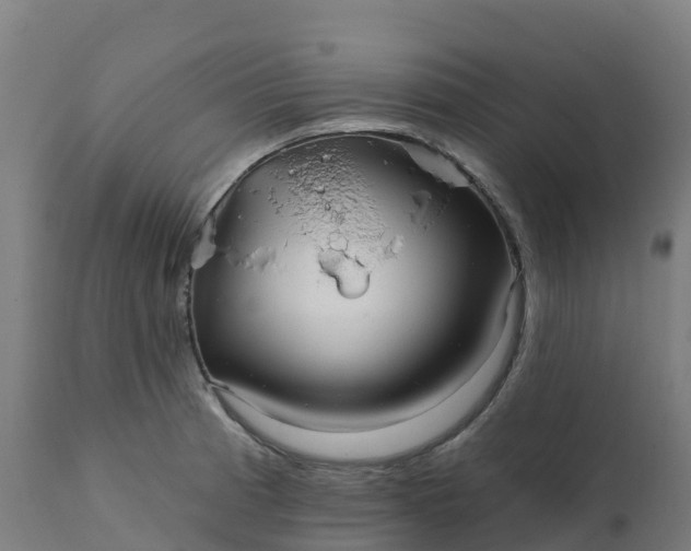X0000112431185200908281855