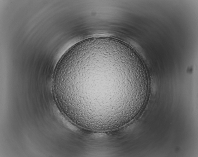 X0000112431186200908281855