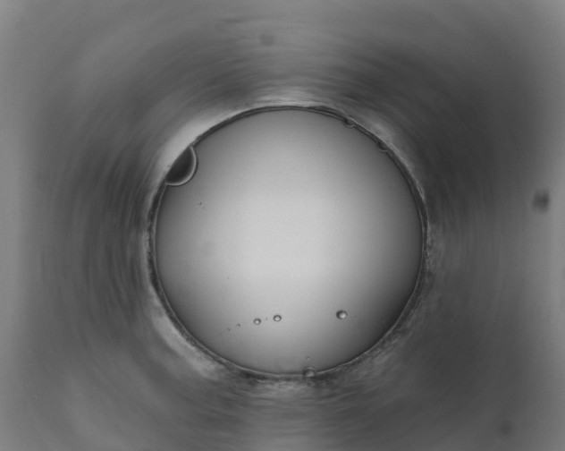 X0000112431187200908281855