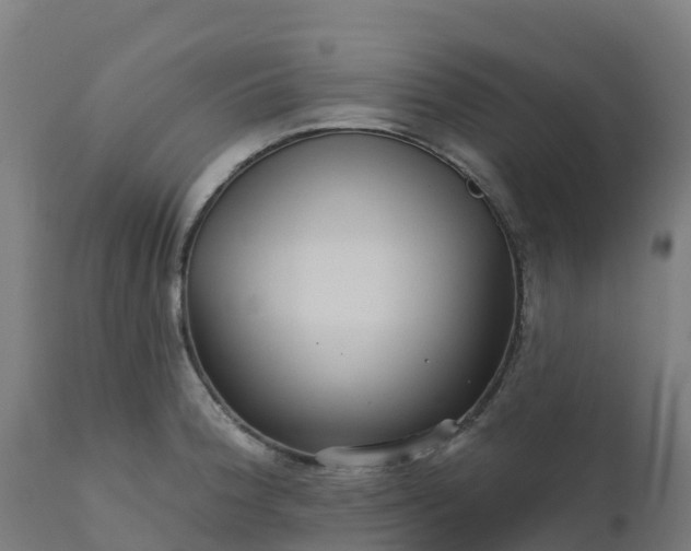 X0000112431188200908281855