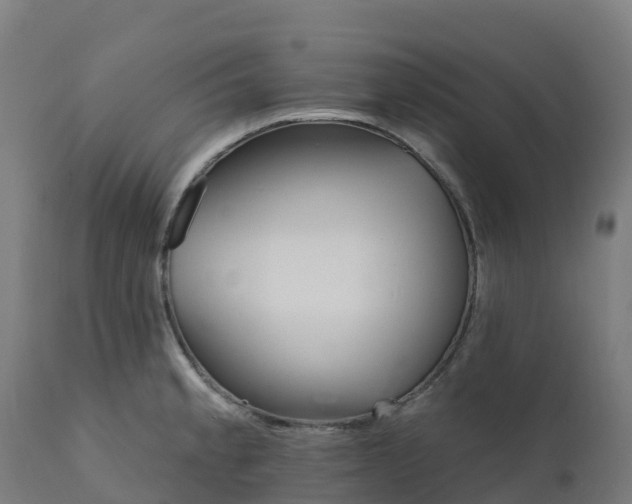 X0000112431189200908281855