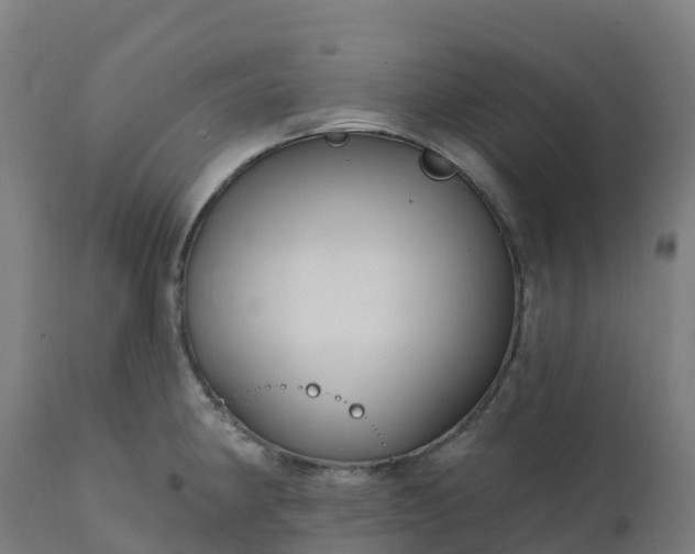 X0000112431190200908281855