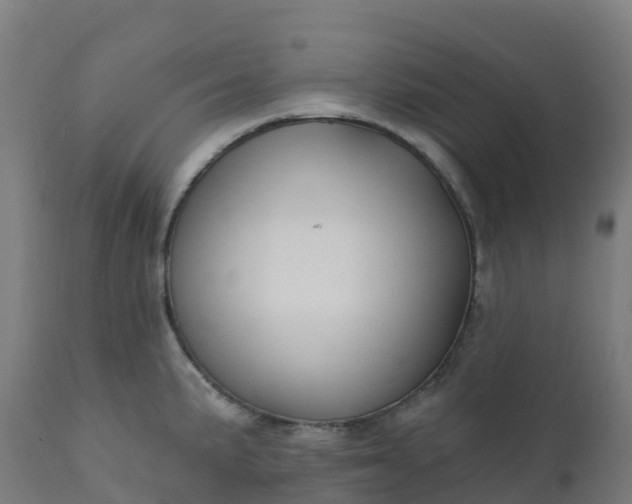 X0000112431191200908281855