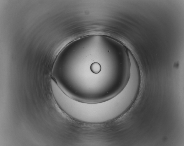 X0000112431193200908281855