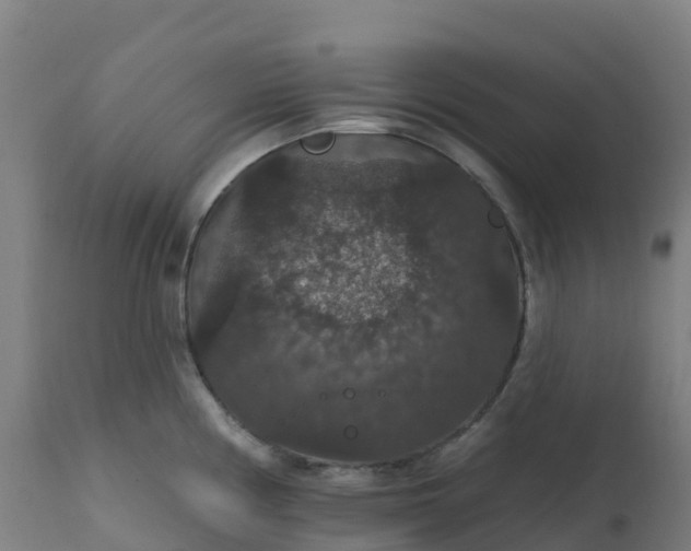 X0000112431194200908281855