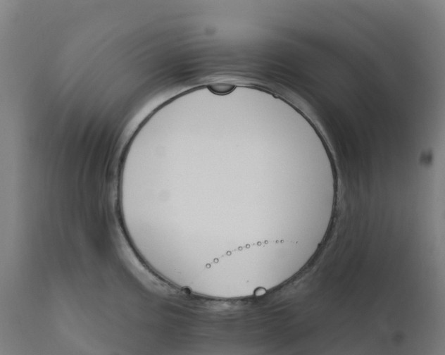 X0000112431195200908281855