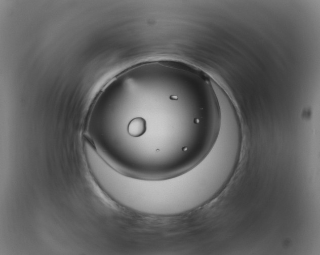 X0000112431197200908281855