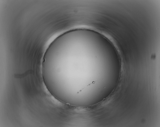 X0000112431199200908281855