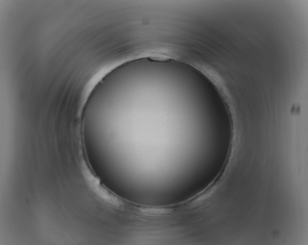 X0000112431200200908281855