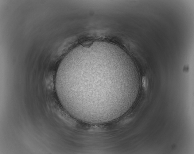 X0000112431203200908281854