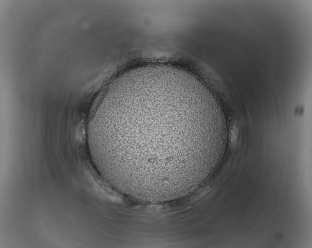 X0000112431204200908281854