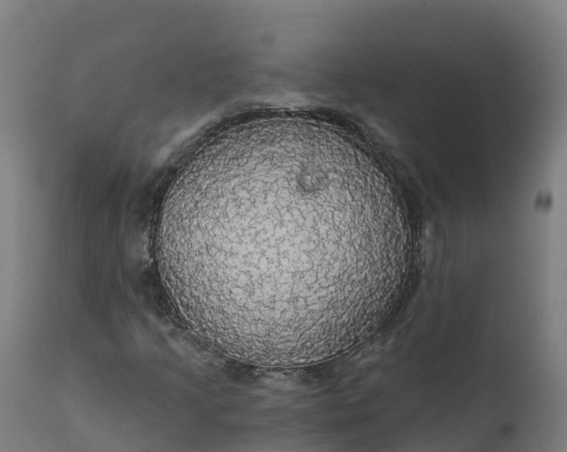 X0000112431205200908281854