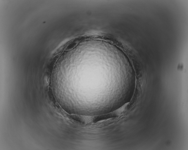 X0000112431206200908281854
