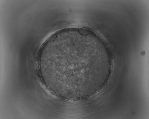 X0000112431208200908281854