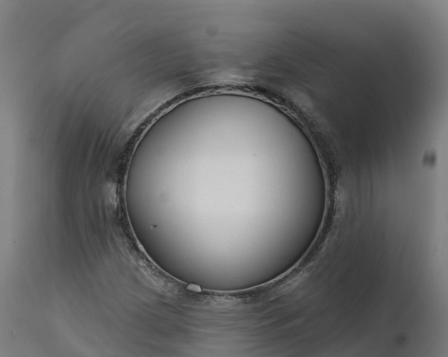 X0000112431209200908281854