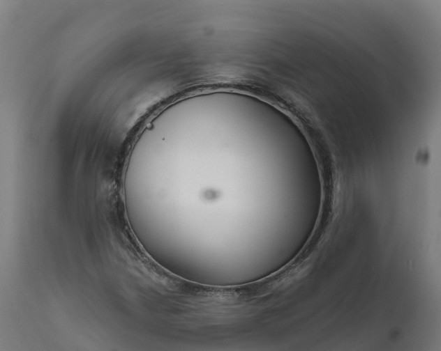 X0000112431210200908281854