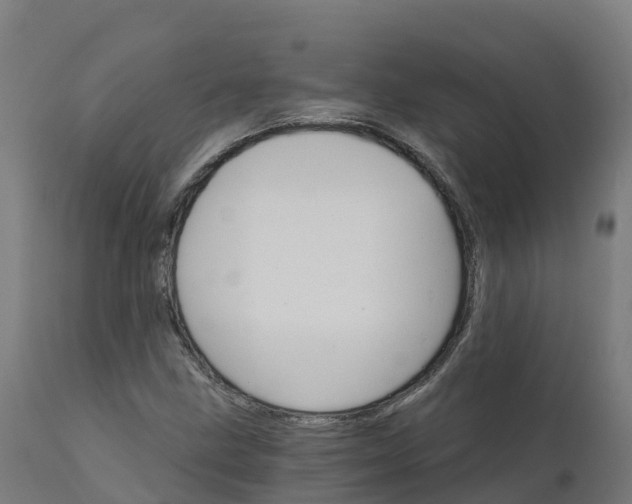 X0000112431211200908281854