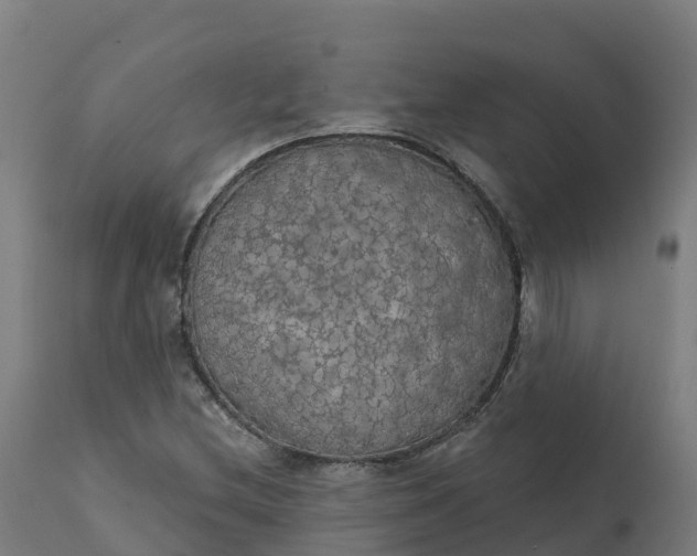 X0000112431212200908281854