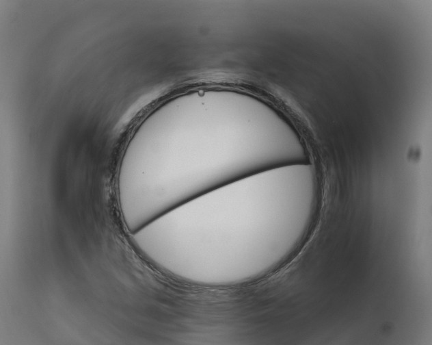 X0000112431213200908281854