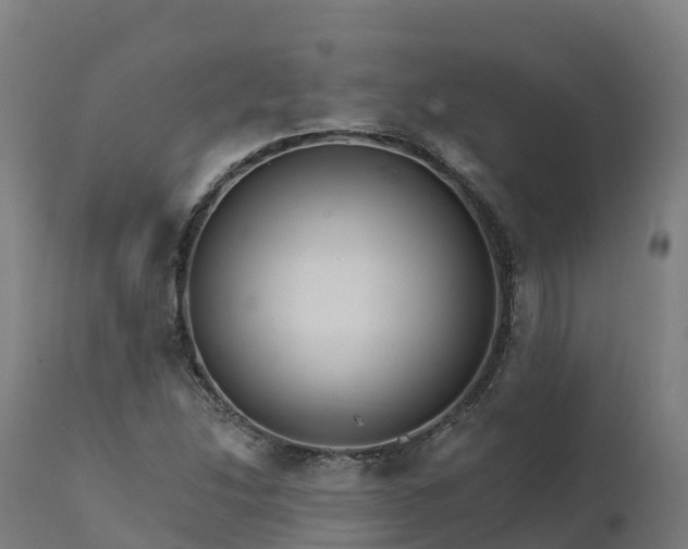 X0000112431214200908281854