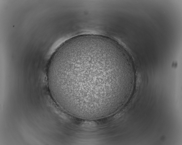 X0000112431215200908281854