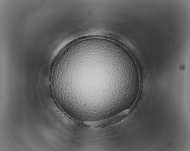 X0000112431216200908281854