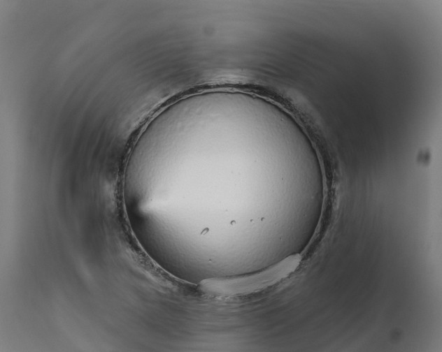X0000112431217200908281854
