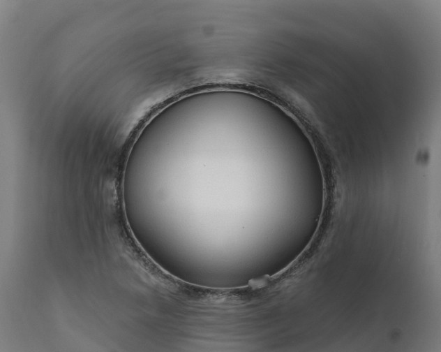 X0000112431218200908281854