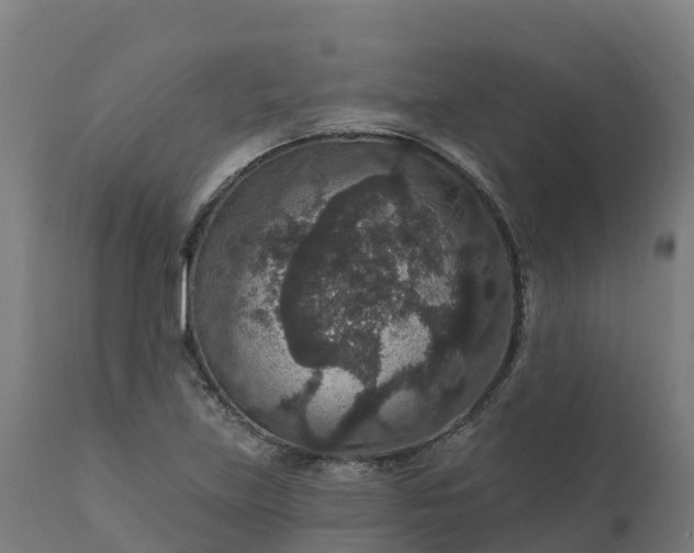 X0000112431219200908281854