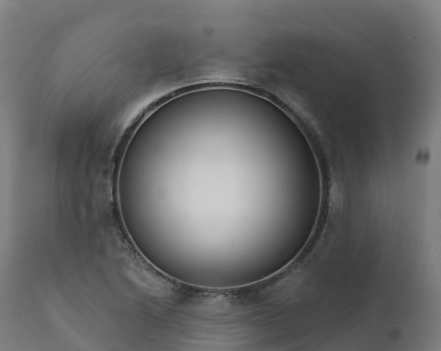 X0000112431222200908281854