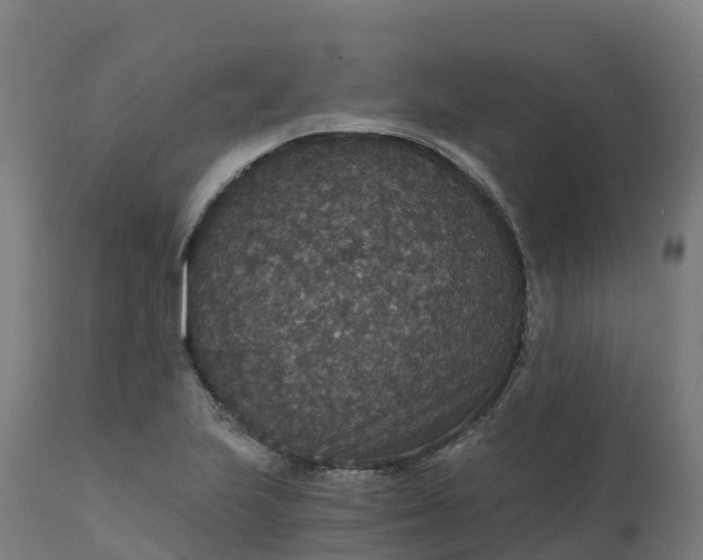 X0000112431223200908281854