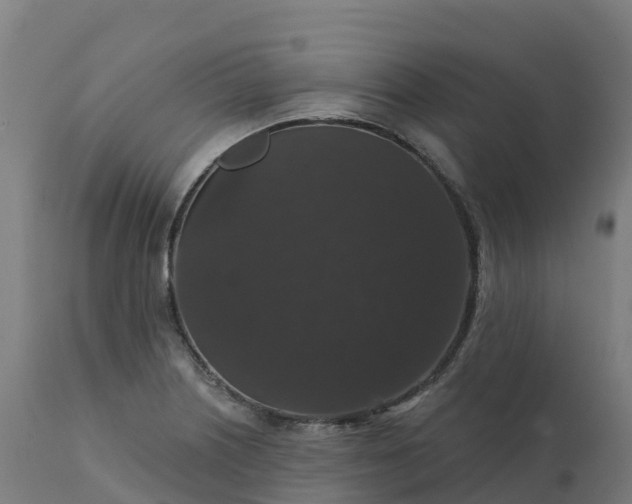 X0000112431226200908281854