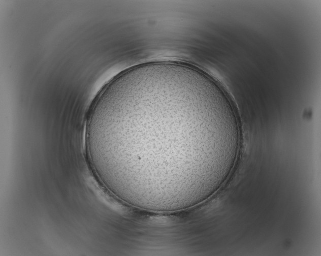 X0000112431227200908281854