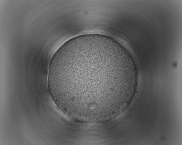 X0000112431228200908281854