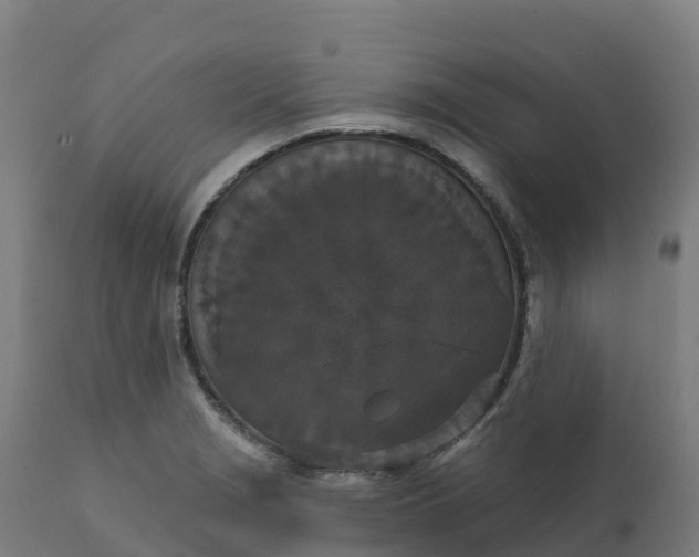 X0000112431229200908281854