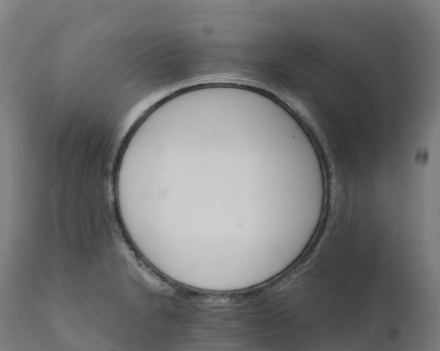 X0000112431230200908281854