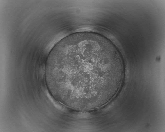 X0000112431233200908281854