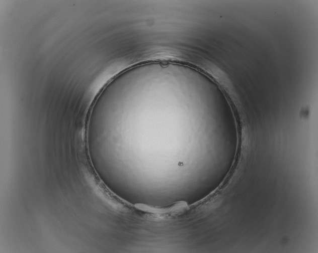 X0000112431234200908281854