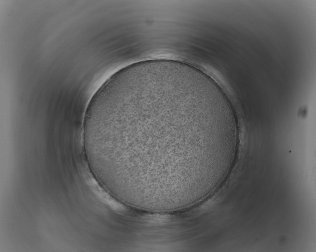 X0000112431236200908281854