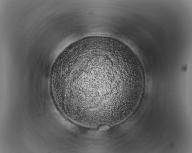 X0000112431237200908281854