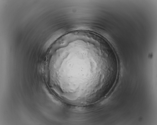 X0000112431241200908281855