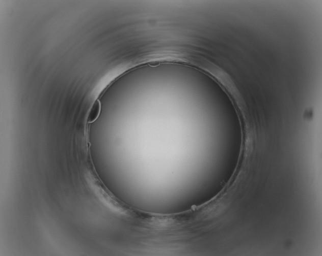 X0000112431242200908281855