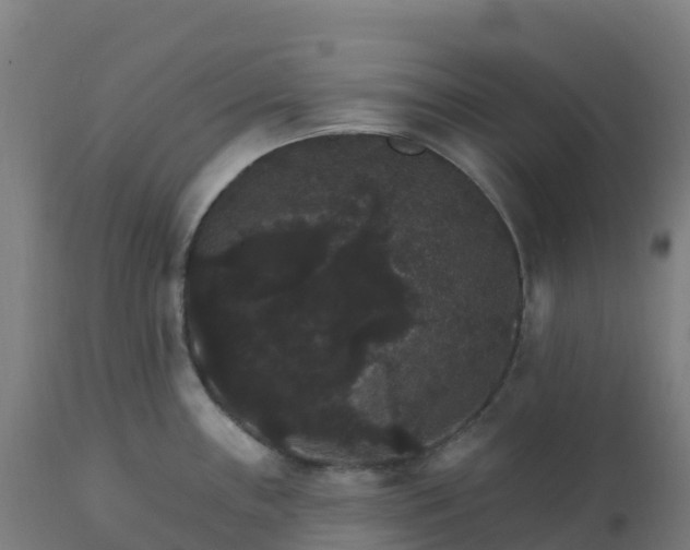 X0000112431243200908281855