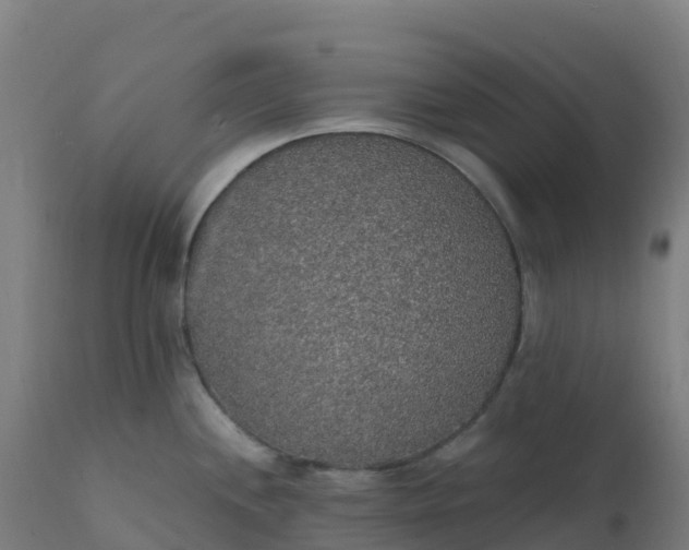 X0000112431244200908281855