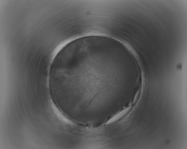 X0000112431246200908281855