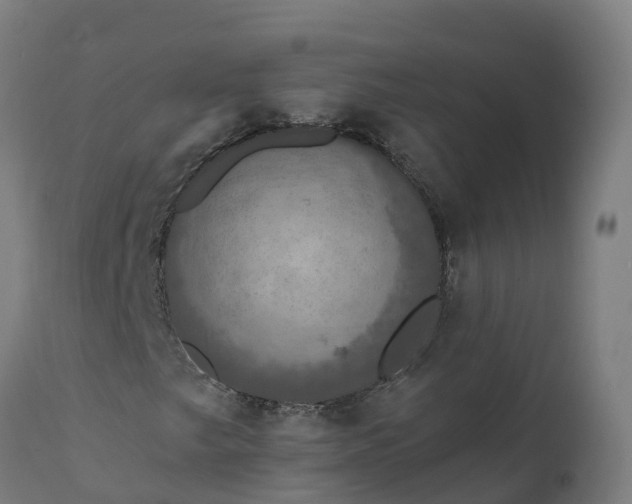 X0000112431249200908281854