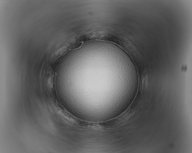 X0000112431250200908281854